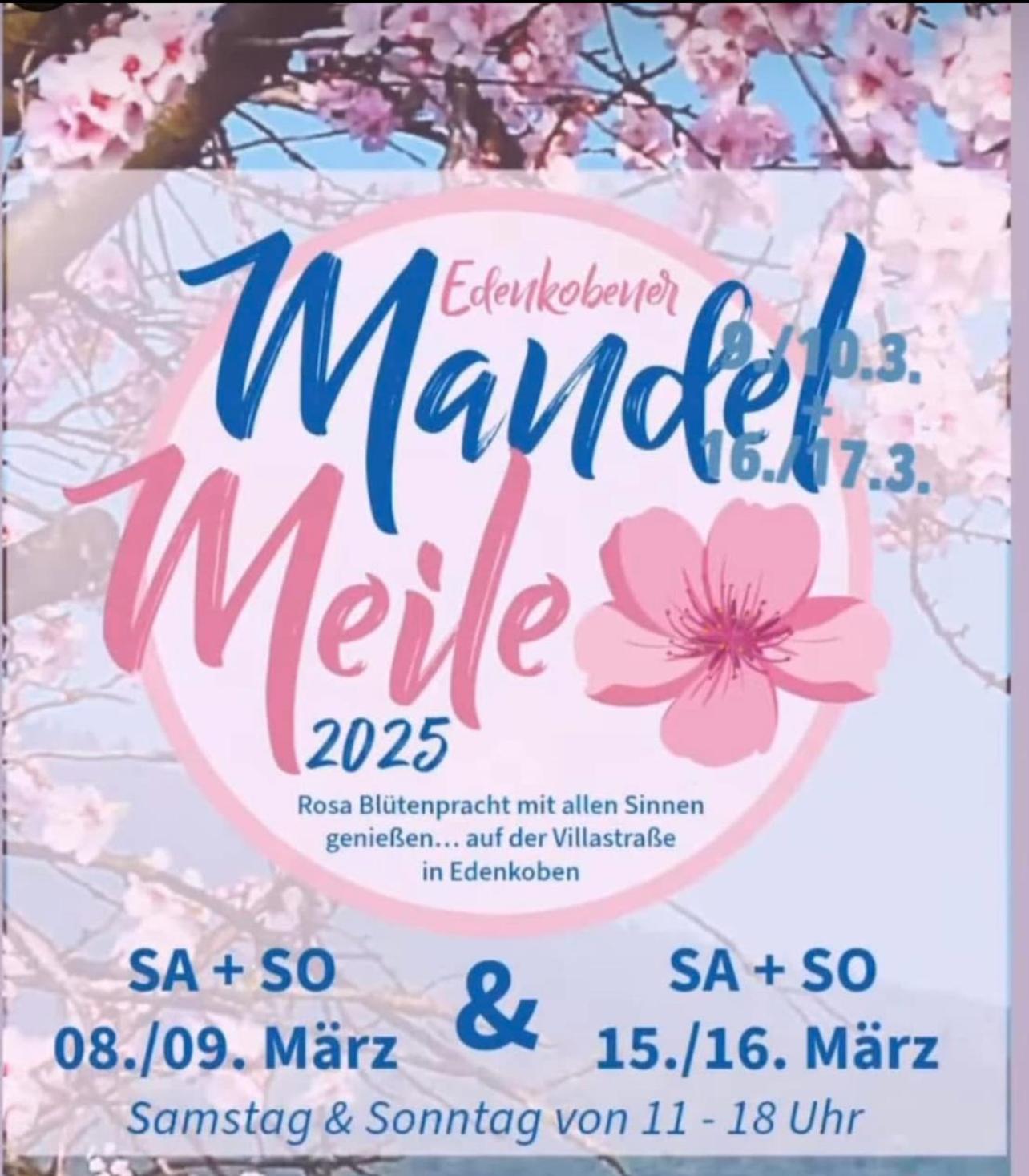 Hotel Zum Goldenen Ochsen Maikammer Kültér fotó