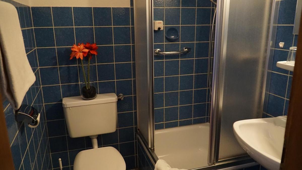 Hotel Zum Goldenen Ochsen Maikammer Kültér fotó